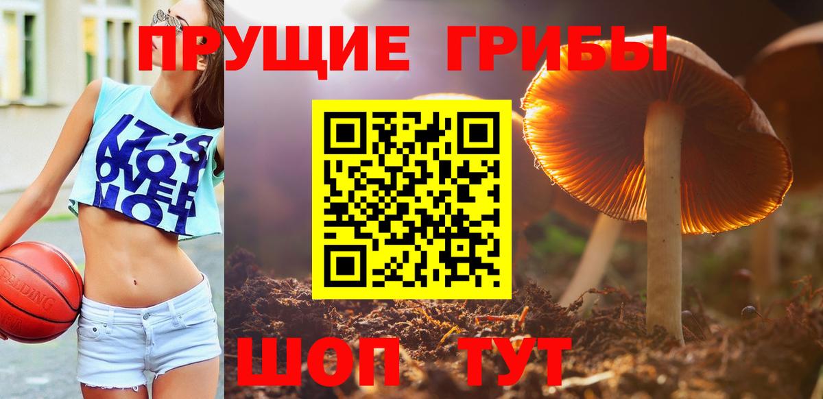 Астрахань  Галлюциногенные грибы MAGIC MUSHROOMS  Псилоцибиновые грибы прущие грибы  Вход с VPN 