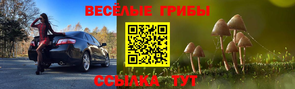Псилоцибиновые грибы GOLDEN TEACHER Астрахань
